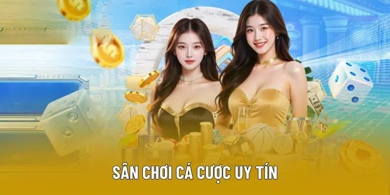 Sân chơi cá cược uy tín